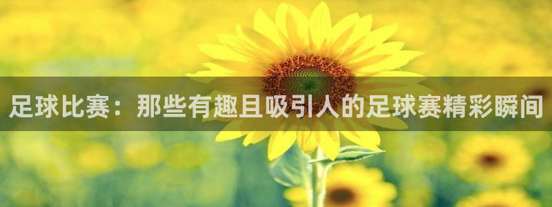 意昂44代理：足球比赛：那些有趣且吸引人的足球赛精彩瞬间