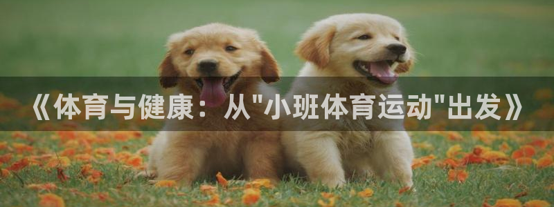 意昂4体育官网登录：《体育与健康：从\