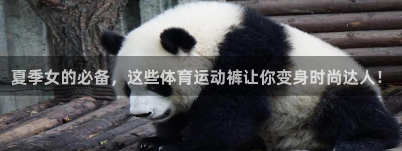 意昂4能源：夏季女的必备，这些体育运动裤让你变身时尚达人！