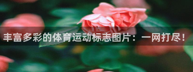 意昂45招商：丰富多彩的体育运动标志图片：一网打尽！