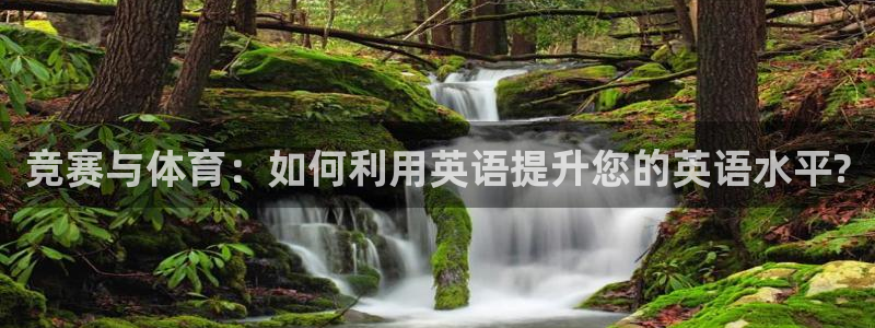 意昂4招商：竞赛与体育：如何利用英语提升您的英语水平?