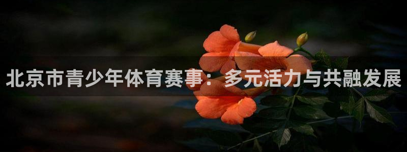 意昂4体育免费注册入口：北京市青少年体育赛事：多元活力与共融发展