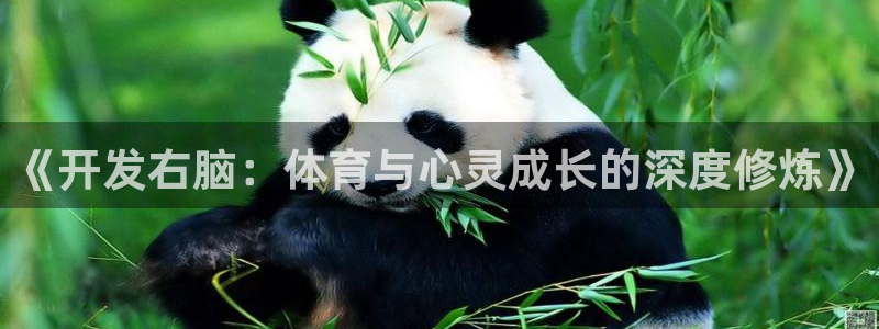 意昂42注册：《开发右脑：体育与心灵成长的深度修炼》