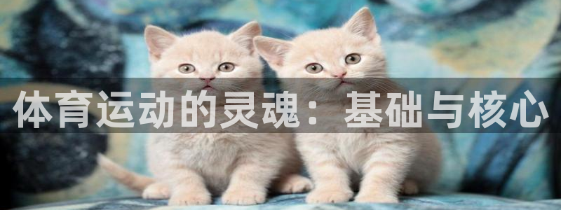 意昂4体育凯捷平台主管：体育运动的灵魂：基础与核心