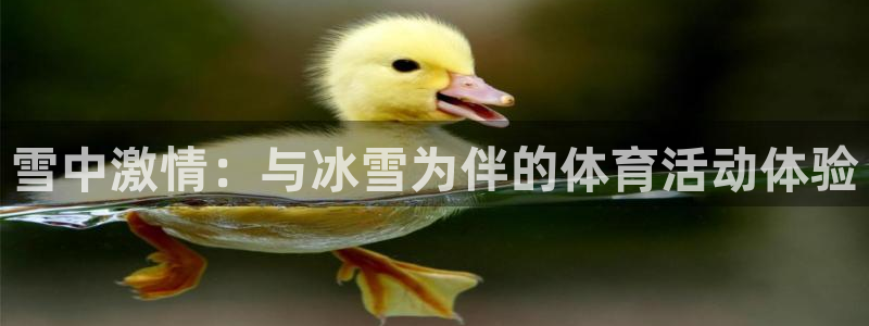 意昂43官网登录：雪中激情：与冰雪为伴的体育活动体验