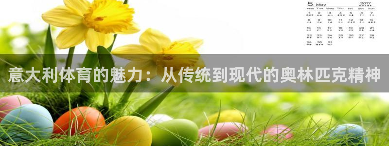 意昂4体育代理申请流程：意大利体育的魅力：从传统到现代的奥林匹克精神