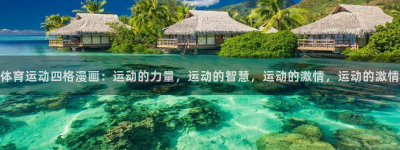 意昂4招商：体育运动四格漫画：运动的力量，运动的智慧，运动的激情，运动的激情