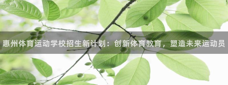意昂4体育老板是谁：惠州体育运动学校招生新计划：创新体育教育，塑造未来运动员