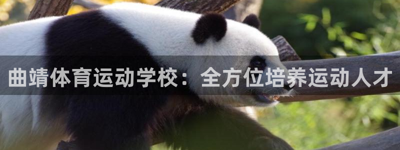 意昂4体育eon：曲靖体育运动学校：全方位培养运动人才