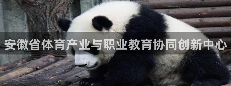 意昂4体育论坛：安徽省体育产业与职业教育协同创新中心