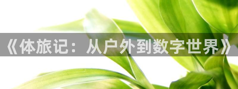 意昂4体育注册代理：《体旅记：从户外到数字世界》