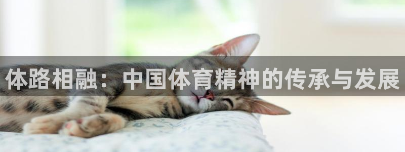意昂4登录：体路相融：中国体育精神的传承与发展