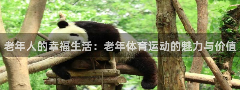 意昂44代理：老年人的幸福生活：老年体育运动的魅力与价值