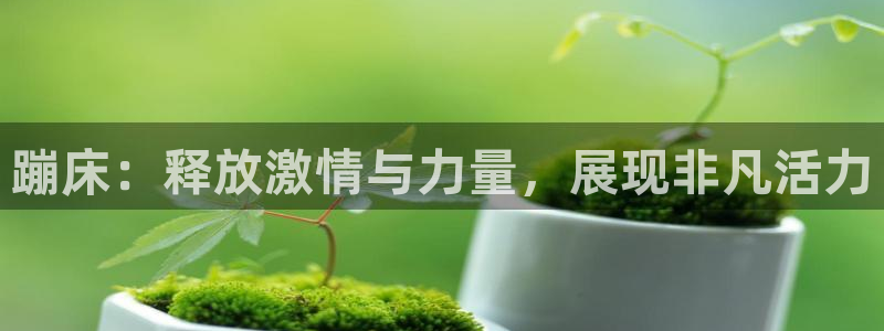 意昂4官网注册：蹦床：释放激情与力量，展现非凡活力