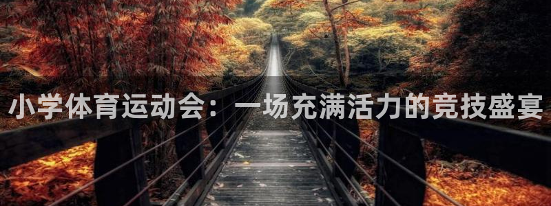 意昂4体育注册代理：小学体育运动会：一场充满活力的竞技盛宴