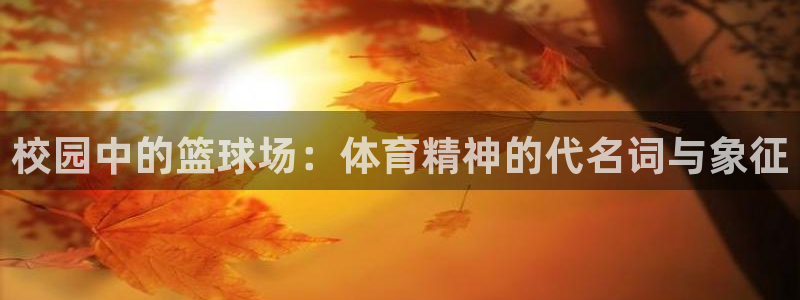 意昂42官网：校园中的篮球场：体育精神的代名词与象征