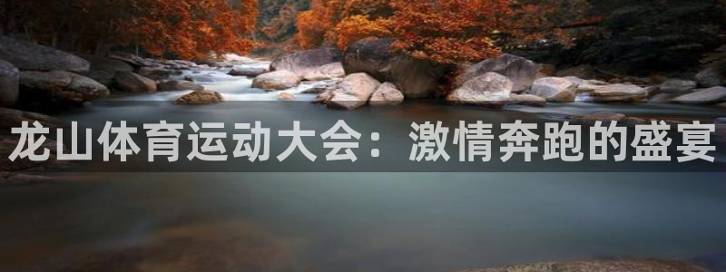 意昂44平台：龙山体育运动大会：激情奔跑的盛宴