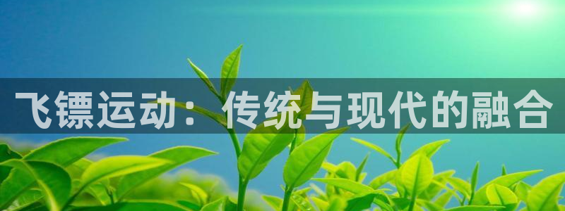 意昂4体育游戏：飞镖运动：传统与现代的融合