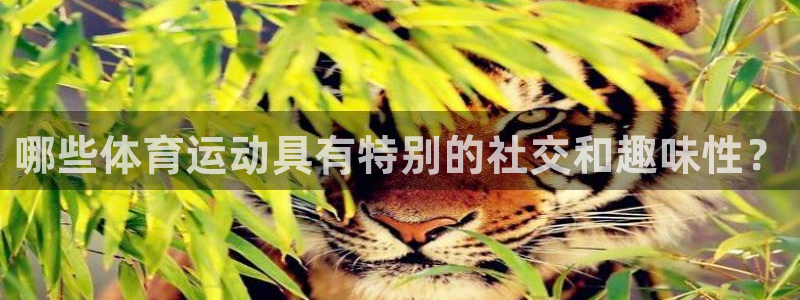 意昂4体育平台开号链接：哪些体育运动具有特别的社交和趣味性？