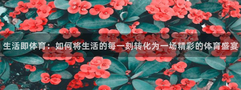 意昂4体育3：生活即体育：如何将生活的每一刻转化为一场精彩的体育盛宴