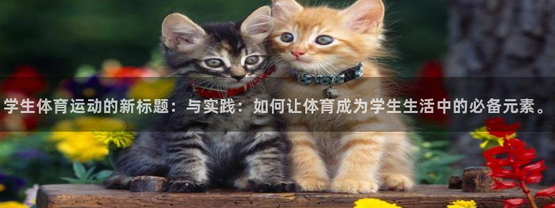 意昂4集团官网：学生体育运动的新标题：与实践：如何让体育成为学生生活中的必备元素
