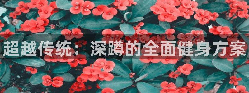意昂4体育app下载：超越传统：深蹲的全面健身方案