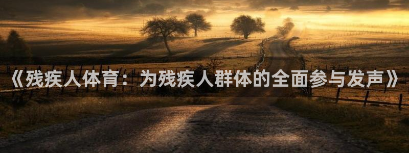 意昂4体育官网入口登录：《残疾人体育：为残疾人群体的全面参与发声》