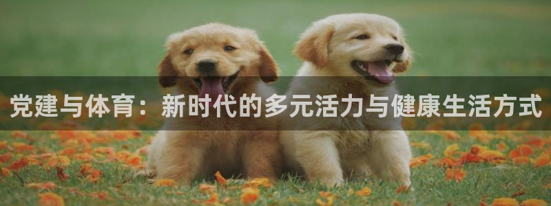 意昂4登录注册：党建与体育：新时代的多元活力与健康生活方式