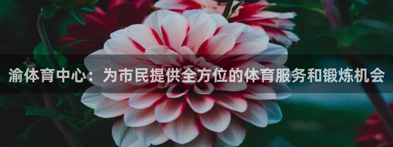 意昂4集团股票：渝体育中心：为市民提供全方位的体育服务和锻炼机会