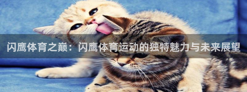 意昂4登录入口：闪鹰体育之巅：闪鹰体育运动的独特魅力与未来展望